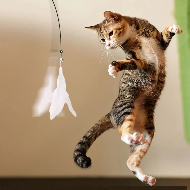 Cat-Teaser-Toy-Interactive-Bell-Feather-Wand-Long-Suction-Cup-Pole-for-Exciting-Playtime-Adventures-Ultimate-5.webp