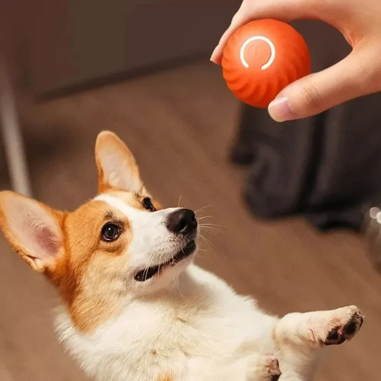 Dog-Toy-Ball-Automatic-Moving-Bouncing-Rolling-Ball-USB-Smart-puppy-Interactive-Dog-Chew-Toy-Ball-4.webp